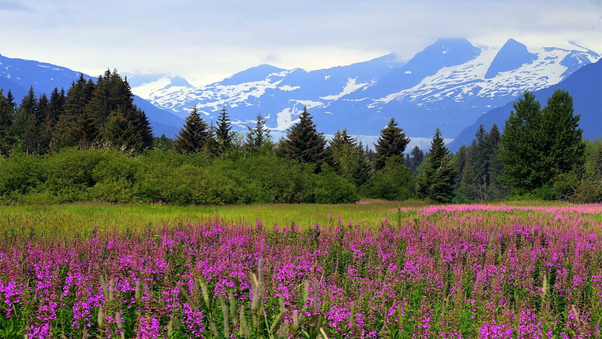 juneau alaska cruise tours